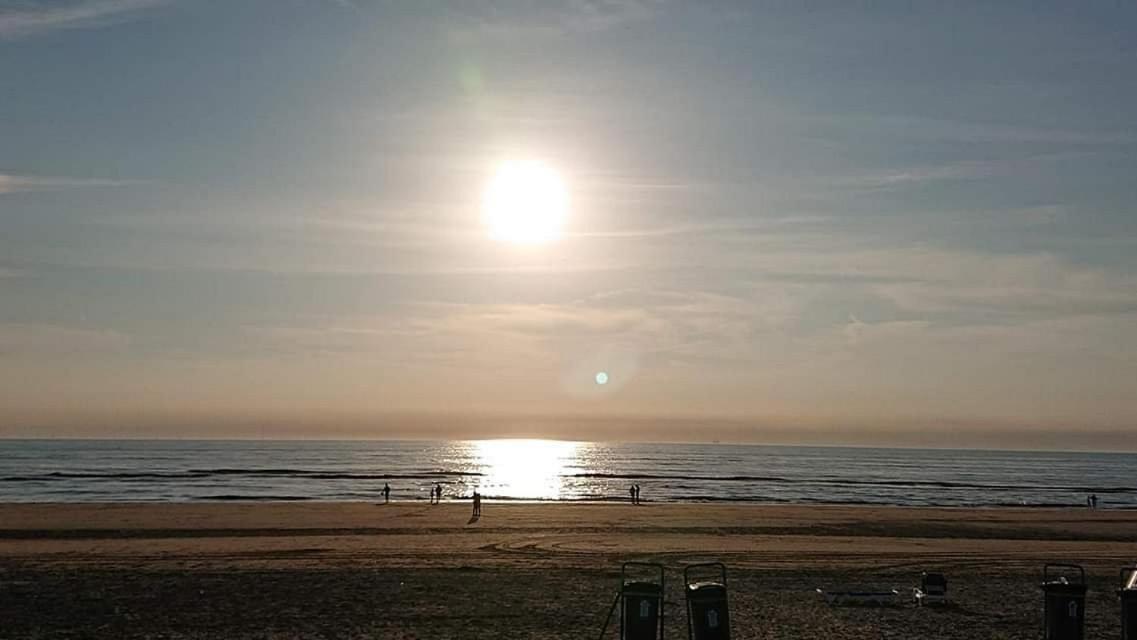 Beach&Dunes Apartment Zandvoort Dış mekan fotoğraf