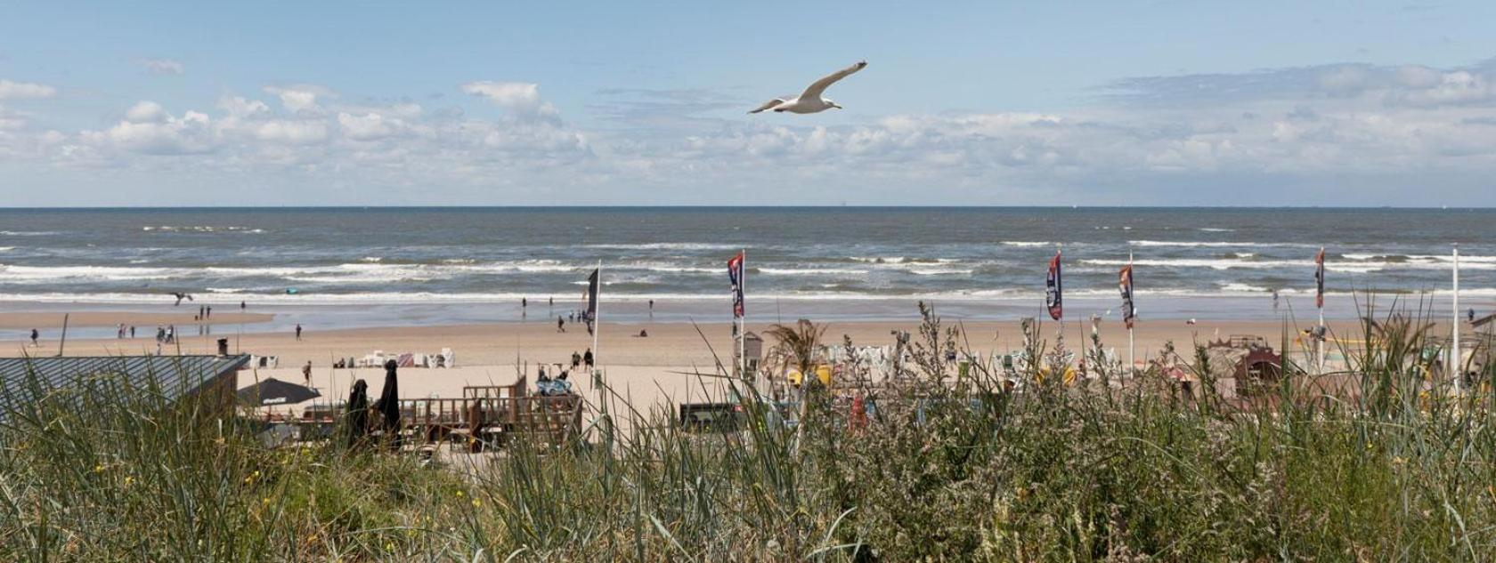 Beach&Dunes Apartment Zandvoort Dış mekan fotoğraf
