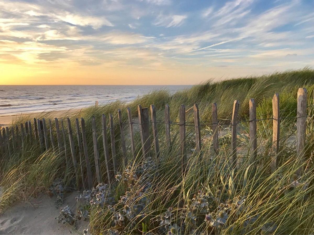 Beach&Dunes Apartment Zandvoort Dış mekan fotoğraf