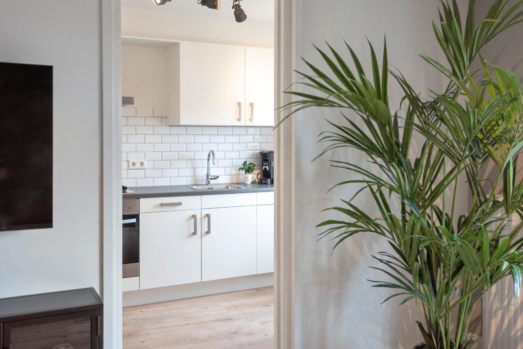 Beach&Dunes Apartment Zandvoort Dış mekan fotoğraf